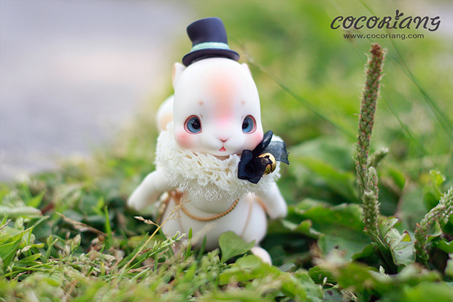 Cocoriang][8cm] Cheeriya (Cream white) - Korea Dolls